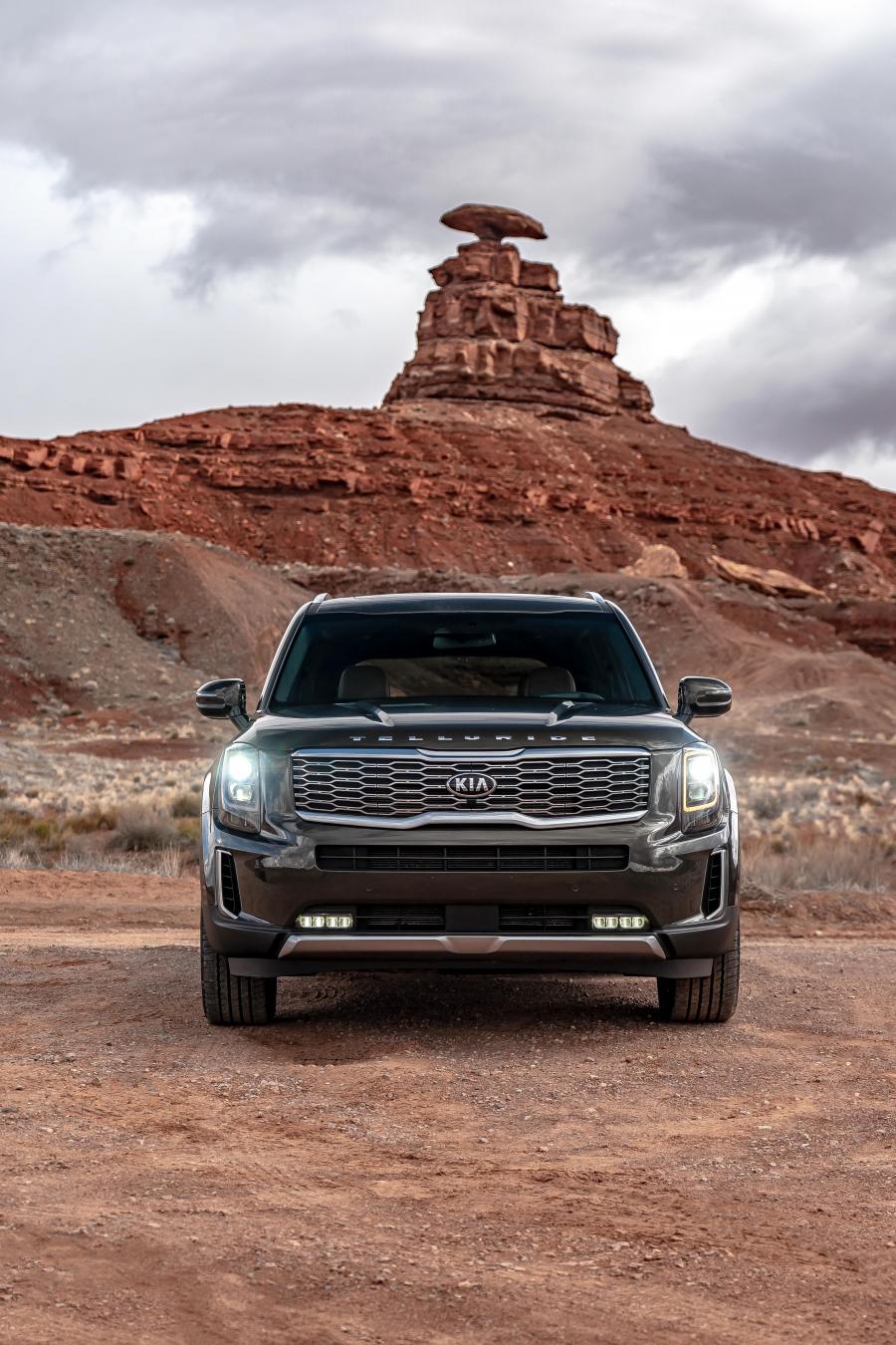  Kia Telluride 2019 года  (фото 40 из 44)